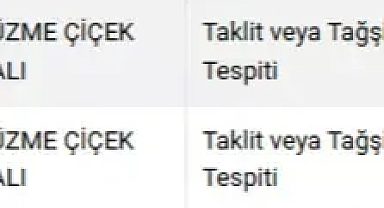 Balda uygunsuzluk Kayseri’yi gündeme taşıdı