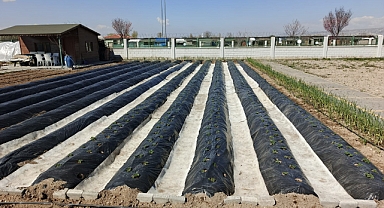 Büyükşehir’in Doğal Ürünler Bahçesi Ve Pazarı’nda Yeni Sezon Hazırlığı