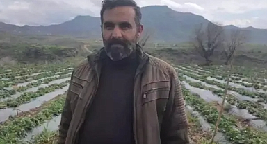 Coğrafi işaretli Sason çileğini sağanak ve dolu vurdu