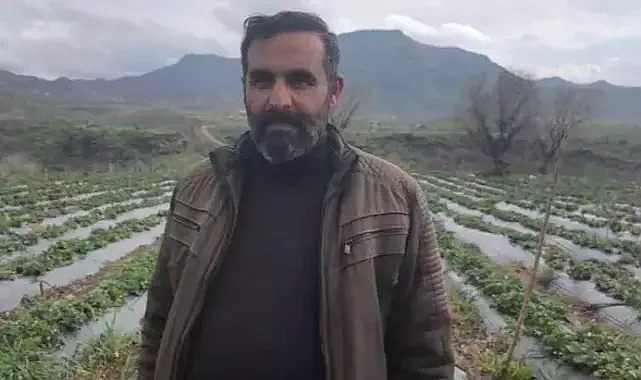 Coğrafi işaretli Sason çileğini sağanak ve dolu vurdu