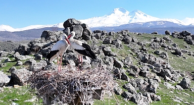 Doğanın uyanışı, Hürmetçi Sazlığı'nda sahneleniyor