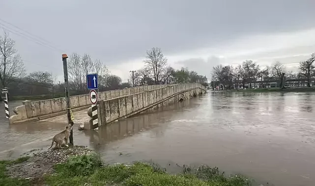 Edirne'de sarı alarm!