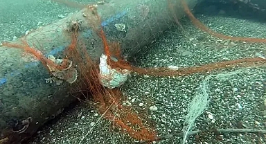 'Hayalet ağ' temizlenerek 1,5 milyon deniz canlısı ölümden kurtarıldı