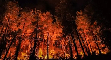 İhmal, dikkatsizlik, kasıt ve kazadan orman yangını çıktı