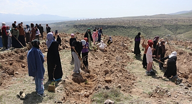 İncesu’da fidanlar toprakla buluştu