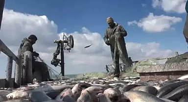 İnci kefali için av yasağı başladı