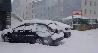 Kar yağışı nedeniyle 111 köy yolu ulaşıma kapandı.