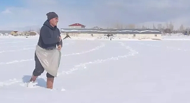 Karla kaplı tarlasına yonca ekimi yaptı