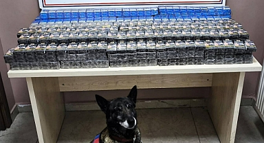 Kayseri’de 2 TIR’da kaçak sigara ele geçirildi