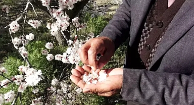 Kayseriye yaz bereketi ile geldi.