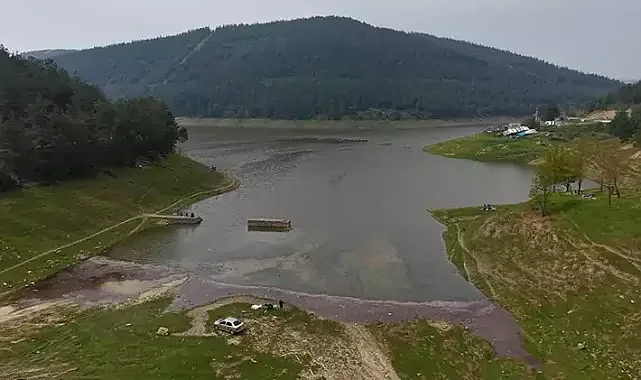 Koyun ve keçilerin otladığı baraj tamamen doldu