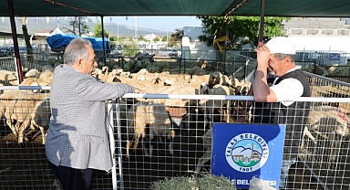 Kurban pazarı başvuruları Talas’ta netleşti