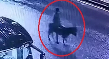 Kuyumcu dükkanından ziynet eşyası çalıp, eşekle kaçan sanığın verdiği zarar hesaplanacak