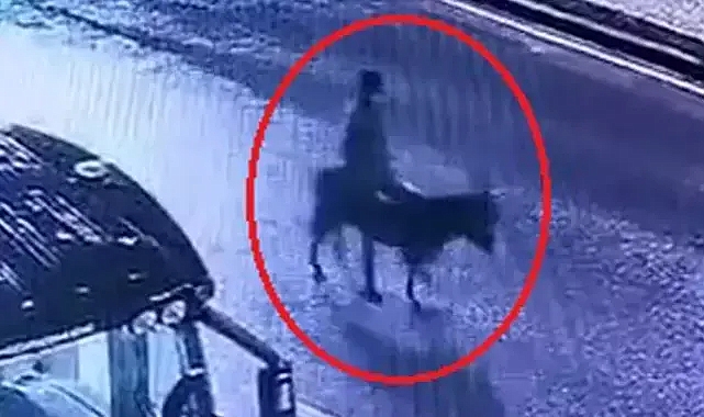 Kuyumcu dükkanından ziynet eşyası çalıp, eşekle kaçan sanığın verdiği zarar hesaplanacak