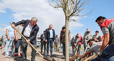 Melikgazi, Ağaçlandırma Çalışmaları İle Geleceğe Daha Yeşil Bir Miras Bırakıyor