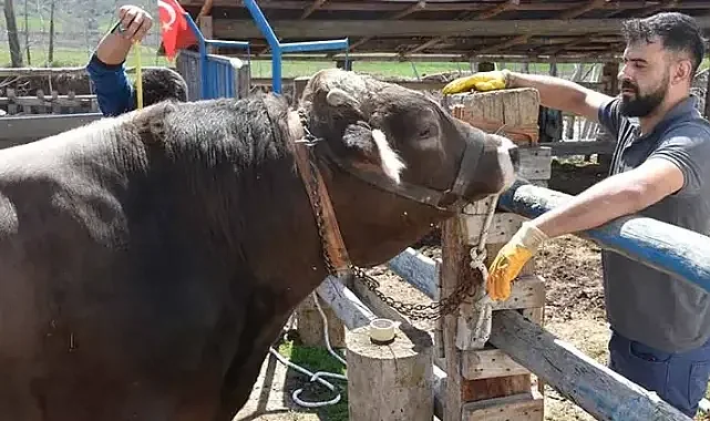 Müşterilerin gözdesi haline gelen 1 ton 180 kilo ağırlığındaki 'Poyraz' 435 bin TL'den alıcısını bekliyor