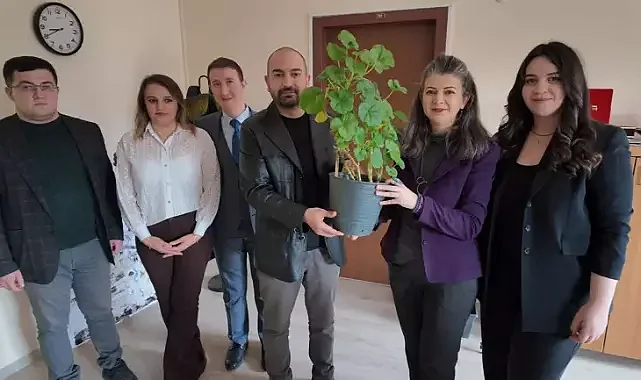 Üniversiteli gençlerden çılgın proje: bitkilerden elektrik ürettiler!