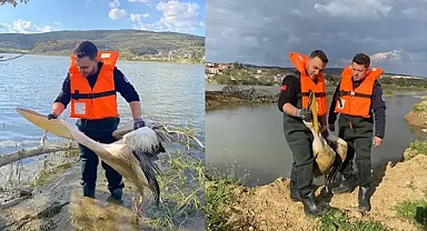 Yaralı pelikan itfaiyeciler tarafından kurtarıldı