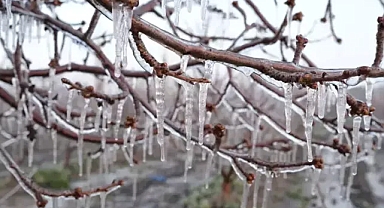 Zirai dona karşı 'Spring yöntemi'