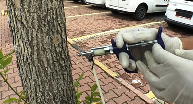 Kocasinan'da ağaçlara çevre dostu koruma!