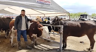 Kurban Bayramı'nın rekortmeni Pamuk 380 bin lira'dan alıcı buluyor!
