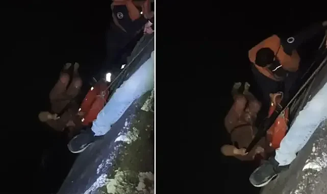 Seyhan Nehri'ne düşen kadını itfaiye ekibi kurtardı