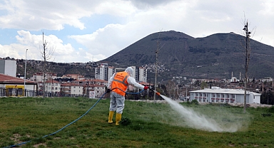 Talas’ta Haşeratla Mücadele Seferberliği Başladı