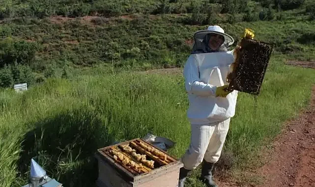 Bu sezon arıcılara yaradı!