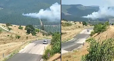 Bursa'da orman yangınına müdahale sürüyor!