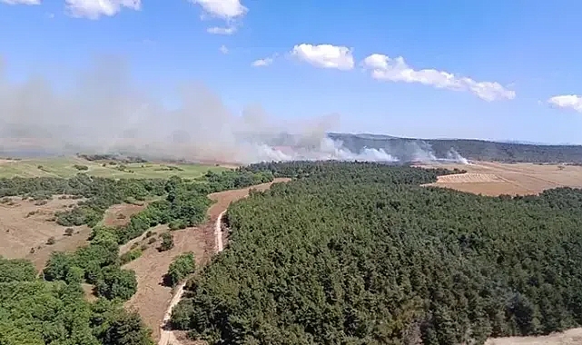 Çanakkale'de orman yangını