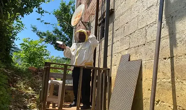 Evini ve kovanlarını korumak için ilginç bir yönteme başvurdu!