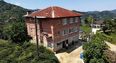 Evini ve kovanlarını korumak için ilginç bir yönteme başvurdu!