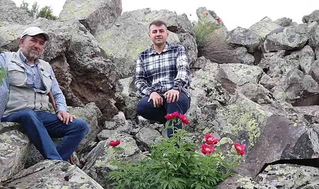 İlk kez haziranda çiçek açtı koparana ceza