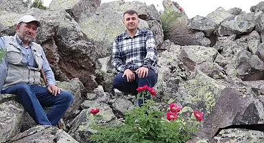 İlk kez haziranda çiçek açtı koparana ceza