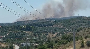 İzmirde ki yangında çöplük alan küle döndü!