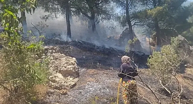 Kahramanmaraş’ta orman yangını söndürüldü