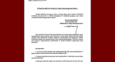MHP Kayseri Milletvekili Baki Ersoy, Develi Şıhlı Mahallesi'ndeki dolu afetini meclis gündemine taşıdı