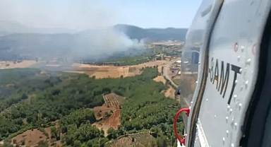 Muğla'da ormana sıçrayan yangın panik yarattı!