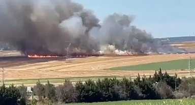 Silivri'de otluk alanda yangın