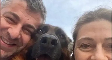 23 gündür kayıp köpeğini arıyor; bulana 100 bin TL vaad ediyor!