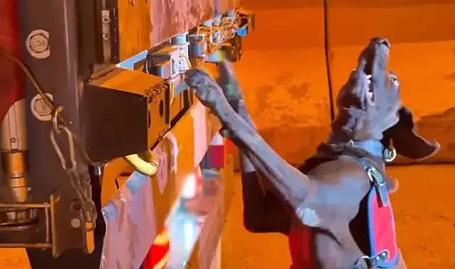 333 kilo bulundu, 2 kişi yakalandı!