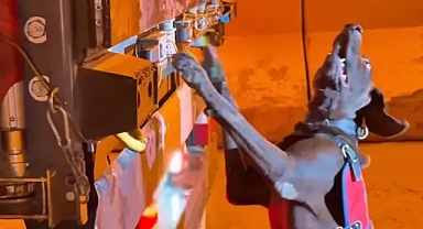 333 kilo bulundu, 2 kişi yakalandı!