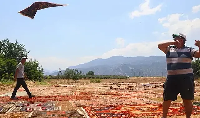 Antalya'da Hasat Sonrası Boş Kalan Arsalar, Eski Halılar İçin Değerlendirildi!