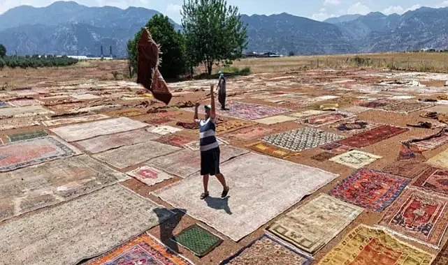 Antalya'da Hasat Sonrası Boş Kalan Arsalar, Eski Halılar İçin Değerlendirildi!