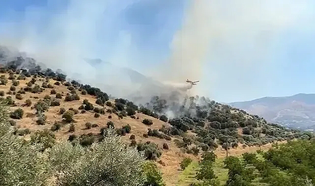Aydın Makilerinde Yangın Meydana Geldi, Havadan ve Karadan Müdahale Sürüyor