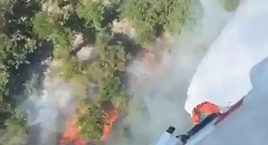 Çatalca'da ormanlık alan alevler içinde kaldı!