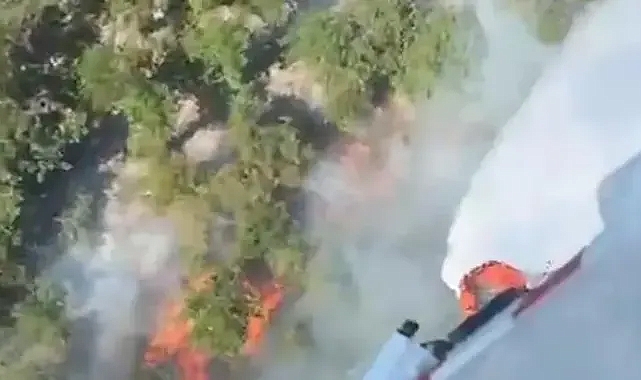 Çatalca'da ormanlık alan alevler içinde kaldı!
