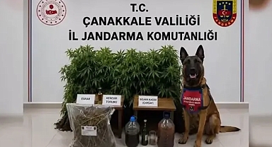 İçişleri Bakanlığı, 18 İlde Uyuşturucu Tacirlerine Yönelik Yapılan Operasyonlarda 80 Şüpheliden 59'unun Tutuklandığını Açıkladı
