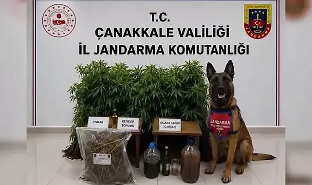 İçişleri Bakanlığı, 18 İlde Uyuşturucu Tacirlerine Yönelik Yapılan Operasyonlarda 80 Şüpheliden 59'unun Tutuklandığını Açıkladı