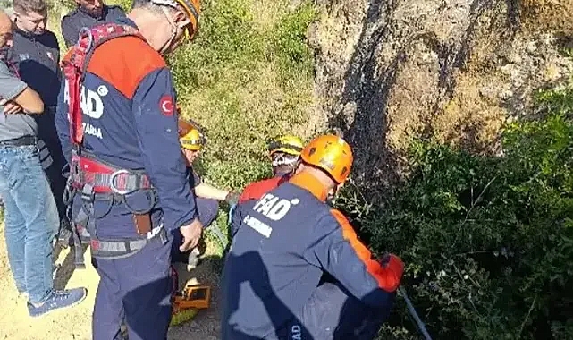 Kaçak Kazı Yüzünden 5 Kişi Gözaltına Alındı